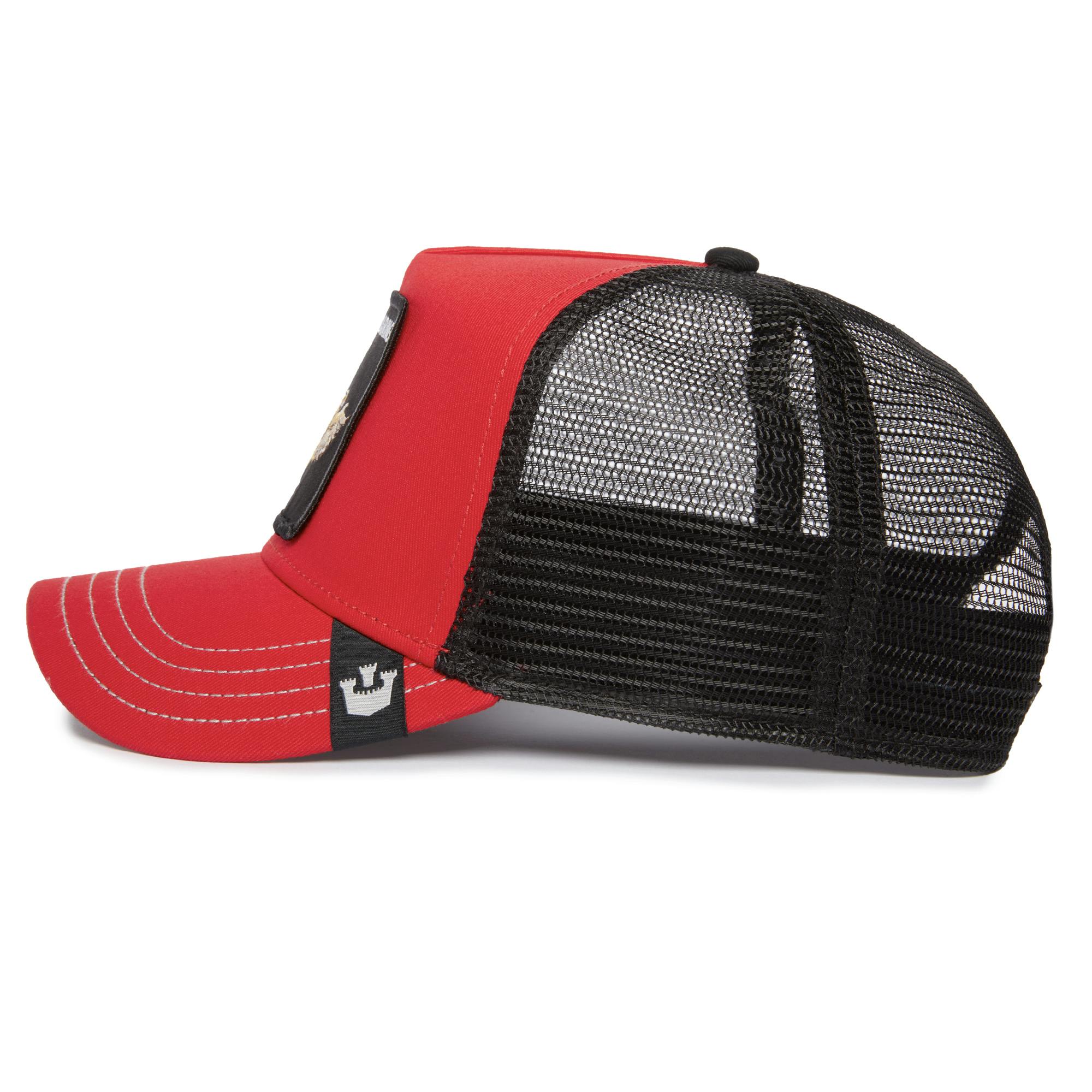 Falcon Fan - Image 3