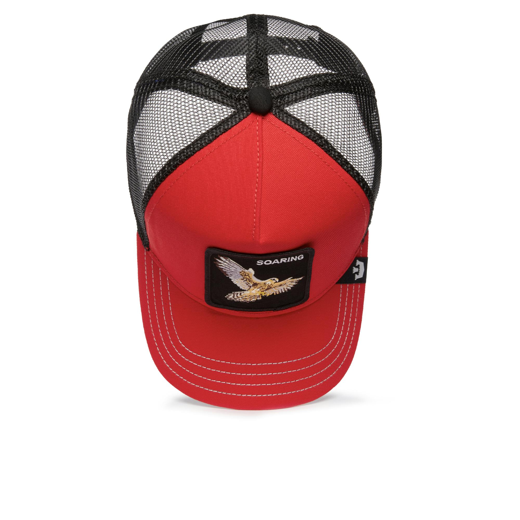 Falcon Fan - Image 4