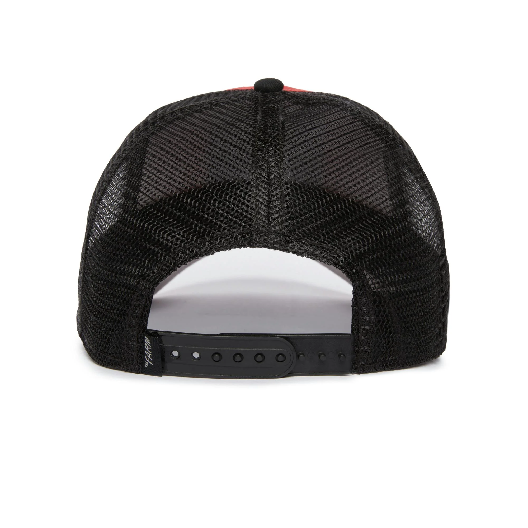 Falcon Fan - Image 6