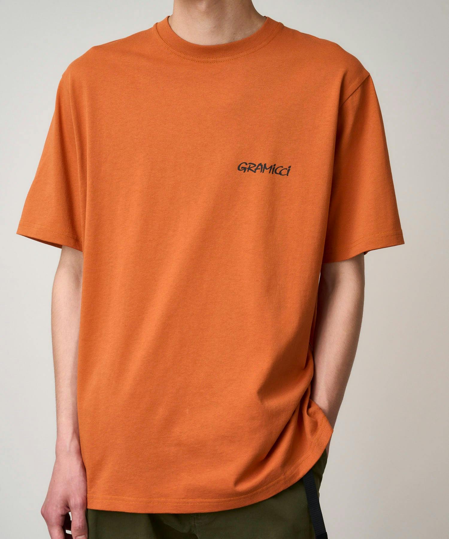 Gramicci Ice Axe Tee in Burnt Orange - Image 3