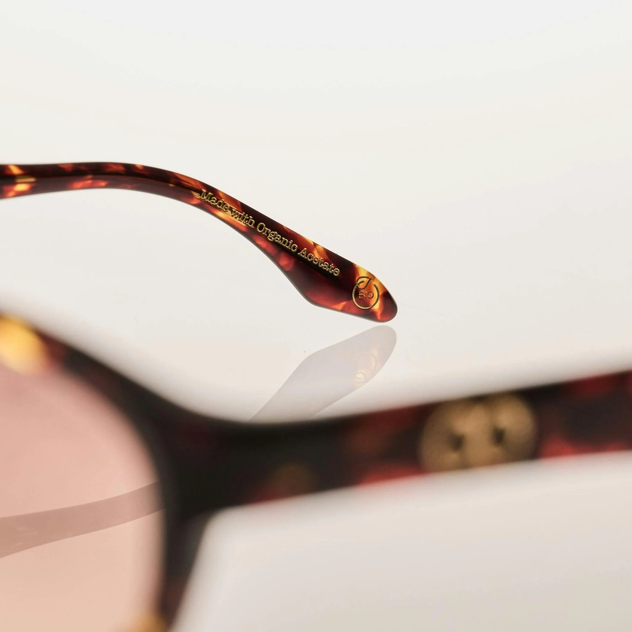 PALOMA Gloss Tort | Rose Gradient Bio Lens - Image 7